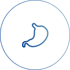 Digestion and metabolism