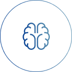 Cardiovascular system